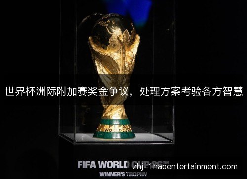 世界杯洲际附加赛奖金争议，处理方案考验各方智慧